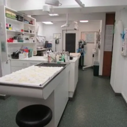 Operating Room at Sequoia & Woodburn Veterinary Clinics